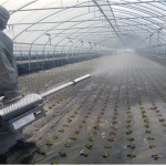 Fogging machine  BF150